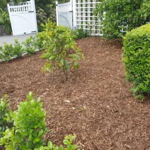 Arborist Mulch