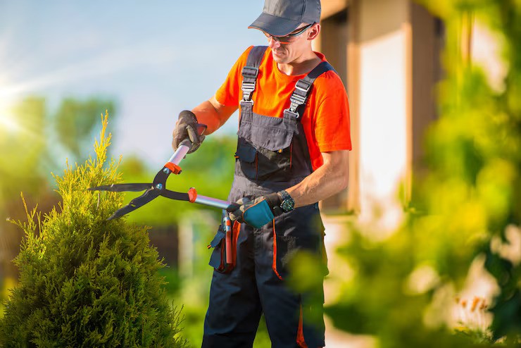 regular-garden-maintenance-matters-for-east-auckland-properties