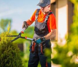 regular-garden-maintenance-matters-for-east-auckland-properties